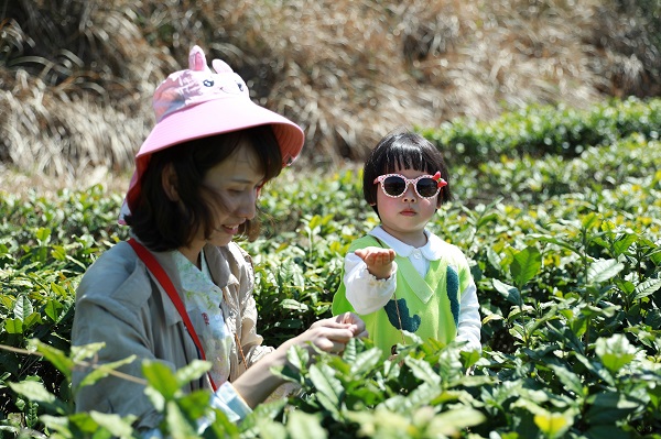 河棚鎮：親子游帶火鄉村游